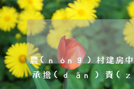 農(nóng)村建房中造成人身損害由誰承擔(dān)責(zé)任？